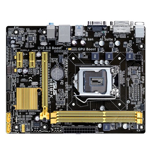 Asus H81M Motherboard